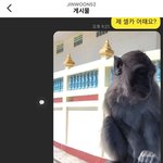 <b>원숭이</b>셀카