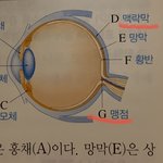 이거 뭐가 틀린<b>고임</b>?…