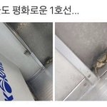 <b>여자</b> 173에 84면 ㄹㅇ <b>뚱뚱</b> 아님?