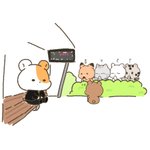 [NCT드림] [속보] 이상한 곰돌이 한마리 추가