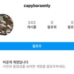 [제니] 제니 부<b>계정</b>으로 알려진 capybaraonly