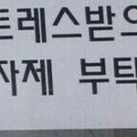 안맞는다 중얼거리는 보아 특