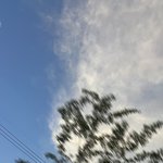 [19] 너넨 <b>남친</b> 뭐가 제일 좋음