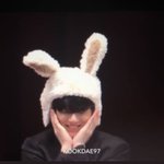 [군머] <b>머리띠</b>쓰고 애교부리는 정궁이