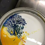 휘젓지 않은 페인트의 <b>미학</b>