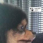 [군대] 근데 <b>연탄이</b>