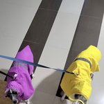 [군대] 송<b>팽이</b> 보고가