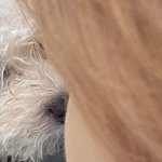 김영훈 <b>Jonna</b> 귀여운짤 찾았다