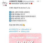 [스키즈] 스트레이키즈 투표팀