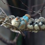 날씨가 <b>쌀쌀</b>해지니 일단 모여!