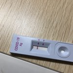 [19] 와 나 이거 <b>두</b><b>줄</b>이냐? ㅈㅂㅈㅂ