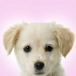 [드루와] >><b>특색</b>잇는<<인스타아이디만들어쥼