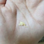 [19] 귀<b>파다</b> 왕건뽑음