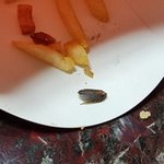 벌레’ 나온 맥도날드 강남구 <b>청담</b>점… 식약처 “위생 미흡” 행정...