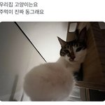 [댓글부탁해] 그러니까우리는동그란~밖에못봐요