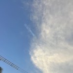 [19] <b>인싸</b>중 아싸 특