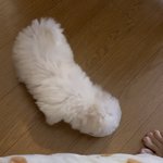 [NCT드림] 아 쫑 라이언 <b>잠옷</b>ㅋㅋㅋㅋㅋㅋㅋ