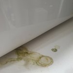 [개깊은빡침] <b>웰스</b>정수기 곰팡이문제 고발합니다.