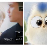 [NCT드림] <b>이</b> 오른쪽애 어디서 나오는애인지 아는 사람?