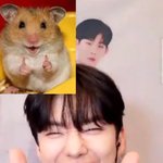[몬스타<b>엑스</b>] 오늘 하루도 햄쥑의 기운을 받아