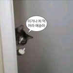 나랑 엮이는 mbti가 항상 비슷함