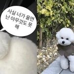 이 짤 <b>때매</b> 미치겟음 지금