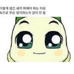 <b>무쌍</b>인 안유진 닮았다는데
