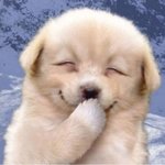 17돈데 <b>후드</b>티 추반