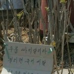 싫어하는애 떨구는법 없음?