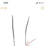 [19] 다리 예쁜애들 부러운거