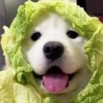 [19] 남친이랑 <b>진도</b> 빠른가