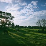 [남자의심리] 남자들 <b>유연</b>한 여자보고