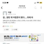 [군머] 애들아 목격담 <b>구라</b>임