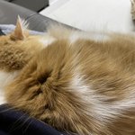 야야 니네 같으면 <b>우짬</b>?