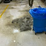 <b>오물</b>폭탄 맞은 서울 강남 대학병원 환자 가족, 무슨일이