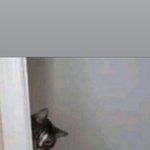 나 진짜 대한민국 <b>탑급</b>으로 예쁜듯