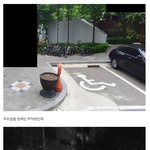 허위 장애인 스티커 신고