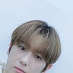 <b>엔드림</b> 파다가 더보이즈 현재 파니까 현타와