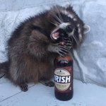 [댓글부탁해] 해리포터vs마블 둘중에 뭐볼까??