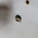 심심할<b>때</b> 할만한 모바일<b>겜</b>없냐