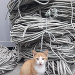 [댓글부탁해] 남자보고 집 <b>사오</b>라고 짬때리는 한녀들은 양심이 없지