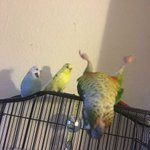 [19] 야 니네 친구 통장 <b>잔고</b>가 2억8천이면 어떨거같냐