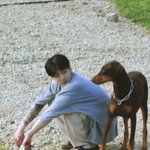 [군대] ㅅㄷ 내가 보는 <b>웹툰</b> 중에 정궁이 닮은 애들 있음