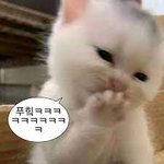 니들은 이런 애 좋냐