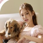 [모두드루와] 제니 최근 메이크업 비교