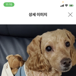 <b>두끼</b> 데이 아직도 하나??