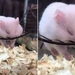<b>유산소</b> 빡시게 하고 난 후의 우리 모습