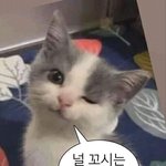 나처럼 <b>성욕</b>이 아예 없을 수가 있나..
