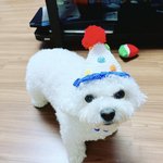 [NCT드림] 대갈이 <b>모자</b>썼엉
