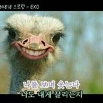 너넨 닮았다고 들어본 거 뭐 있어
